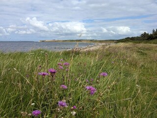 Maison de vacances Erslev  33