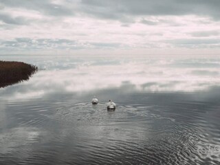 Casa per le vacanze Søndervig  28