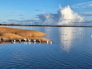 Holiday house Søndervig  35