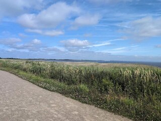 Ferienhaus Søndervig  12