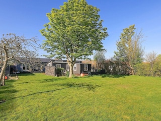 Ferienhaus Aalbæk  12