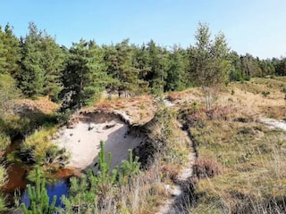 Ferienhaus Aalbæk  13