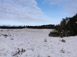 Ferienhaus Aalbæk  14
