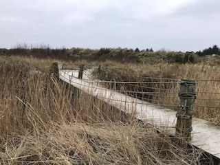 Ferienhaus Aalbæk  15