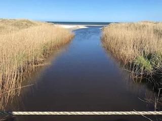 Ferienhaus Aalbæk  16