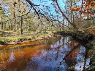 Vakantiehuis Aalbæk  10