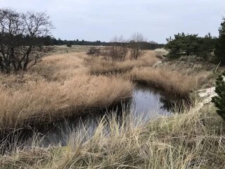 Casa per le vacanze Aalbæk  11