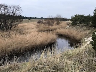 Ferienhaus Aalbæk  28