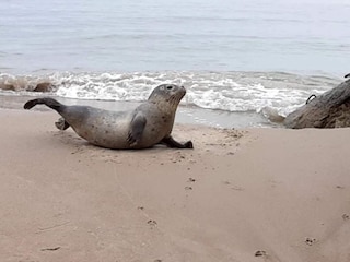 Holiday house Aalbæk  12