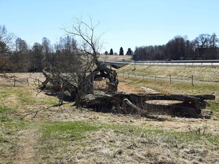 Vakantiehuis Welt  15