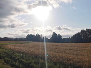 Vakantiehuis Welt  32