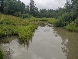 Vakantiehuis Welt  33