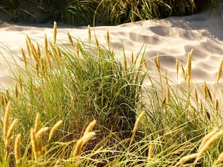 Holiday house Fjerritslev  38