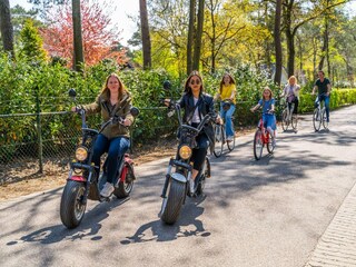 Parque de vacaciones Beekbergen  17