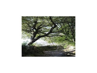 Appartamento Pietra di Verde Ambiente 18