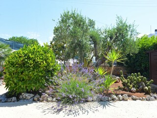 Vakantiehuis Cisternino Buitenaudio-opname 6
