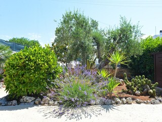 Ferienhaus Cisternino Außenaufnahme 12