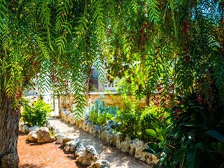 Casa de vacaciones Cisternino Grabación al aire libre 2