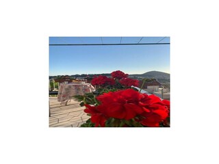 Appartement Dubrovnik Enregistrement extérieur 2
