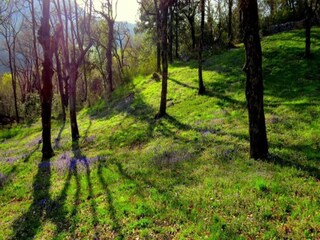 Villa Rabac Ambiente 19