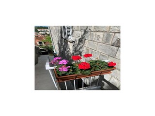 Appartement Dubrovnik  24