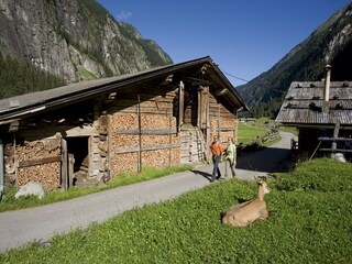 Apartamento Schwendau Entorno 30