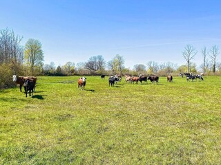 Ferienhaus Borgholm  13