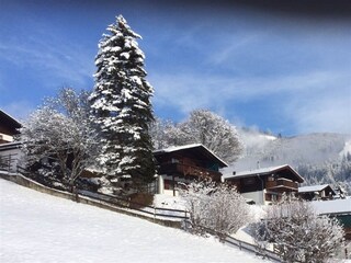 Casa per le vacanze Niedernsill Registrazione all'aperto 5