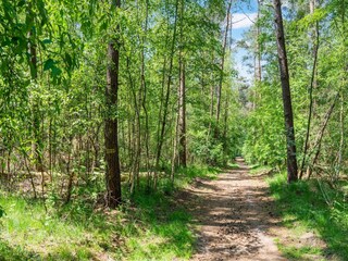 Chalet Bergen op Zoom Environnement 38
