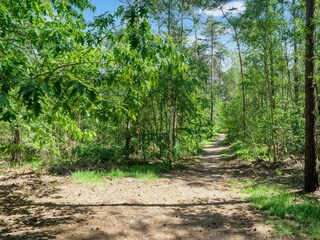 Chalet Bergen op Zoom Omgeving 37