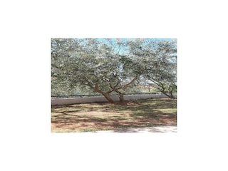 Apartment Karin Außenaufnahme 8