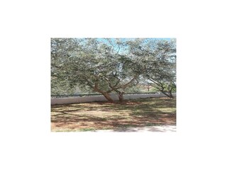 Appartement Karin Buitenaudio-opname 8