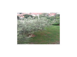 Appartement Karin Buitenaudio-opname 10