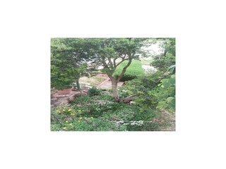 Appartement Karin Buitenaudio-opname 7