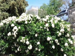 Apartment Karin Outdoor Recording 5