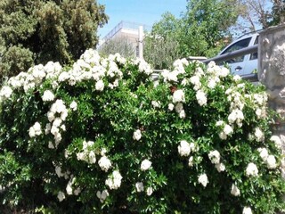 Appartamento Karin Registrazione all'aperto 7