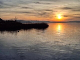 Bungalow Hallschlag Environment 28