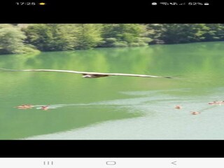 Type de propriété : Habitation troglodytique Huéscar Environnement 25