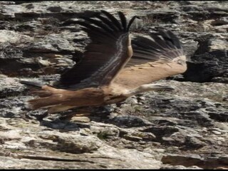 Abitazione in caverna Huéscar Ambiente 29