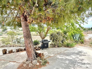 Cave dwelling Huéscar Outdoor Recording 13