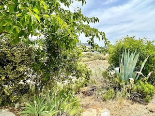 Cave dwelling Huéscar Outdoor Recording 10