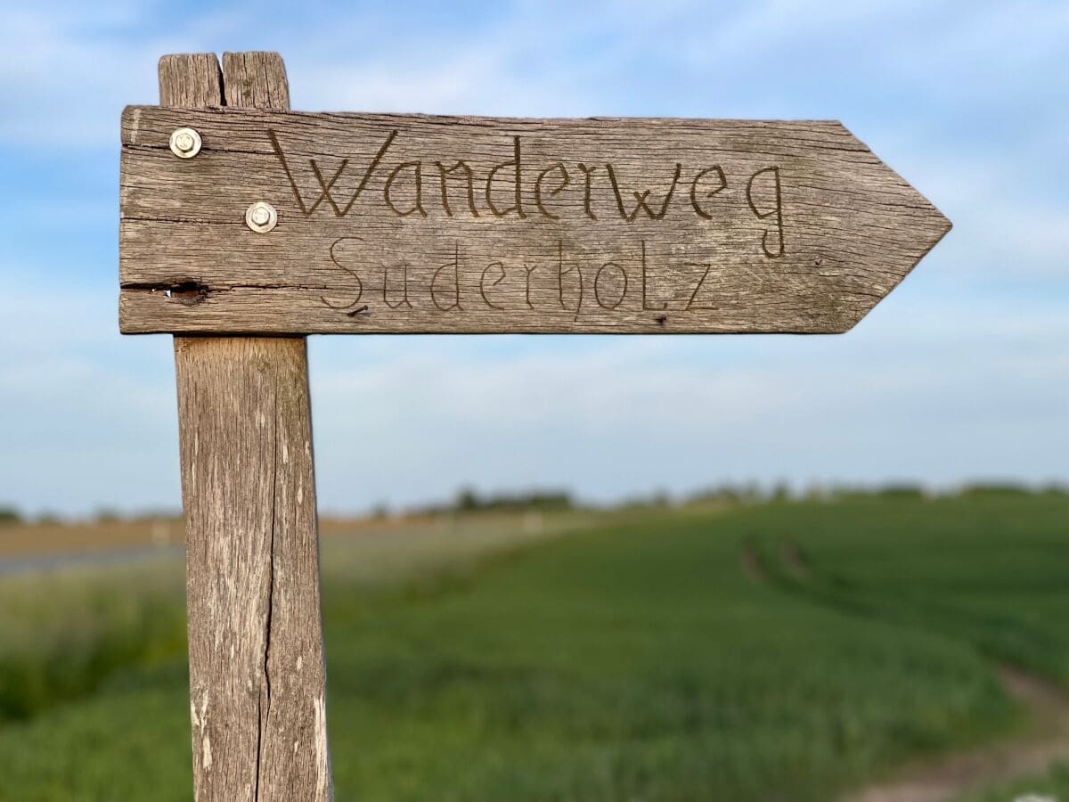 Wanderweg - die Süderholzrunde beginnt direkt am Haus