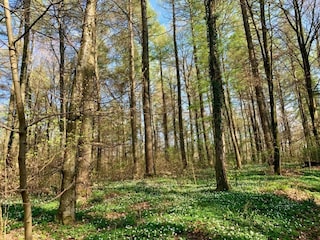 Bungalow Hallschlag Ambiente 33