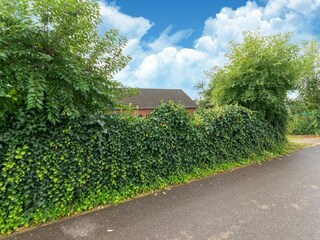 Casa per le vacanze Malmedy Ambiente 39