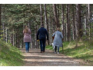 Casa per le vacanze Renesse  36