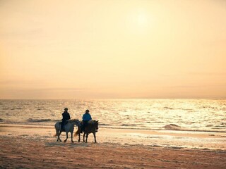Casa per le vacanze Renesse Ambiente 29