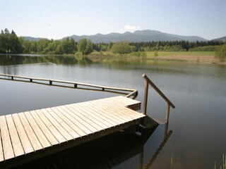 Vakantiehuis Sirnitz Omgeving 42