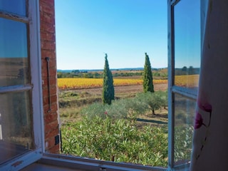 Ferienhaus Murviel-les-Beziers Außenaufnahme 7