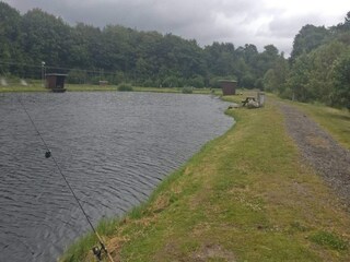 Vakantiehuis Hovborg  41