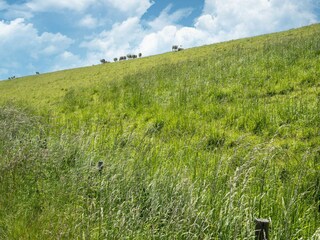 Maison de vacances Baarland Environnement 37